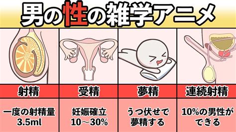 夢精 方法|【経験ある？】夢精が発生する原因や実態、正しい認。